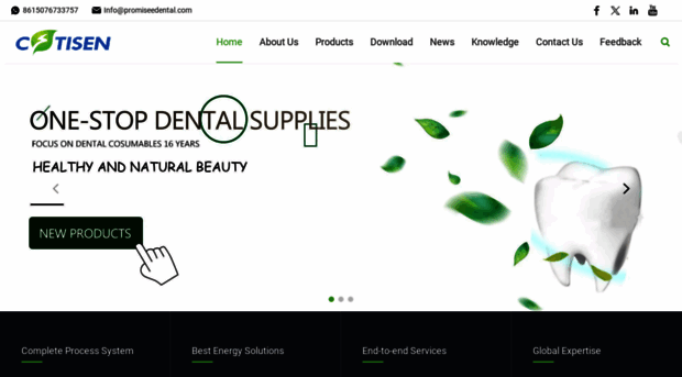 promiseedental.com