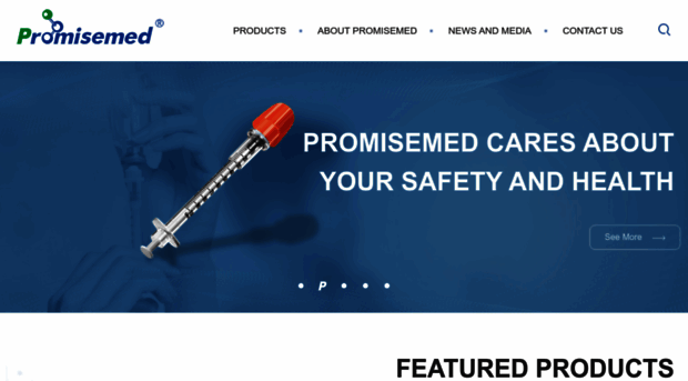 promisemed-global.com
