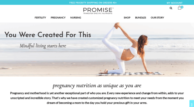 promisepregnancy.com