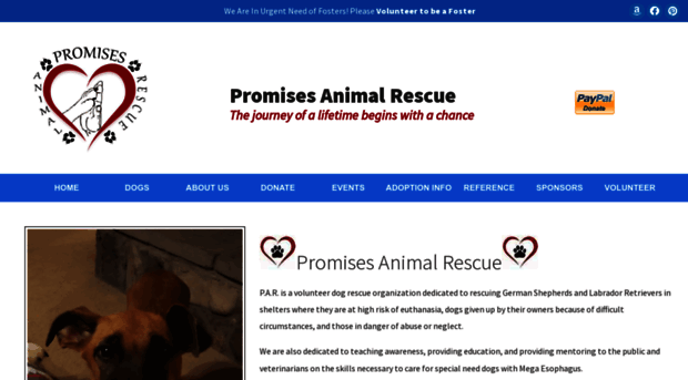 promisesanimalrescue.org