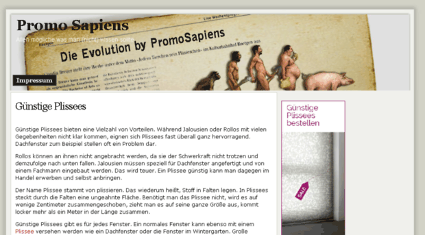 promo-sapiens.de