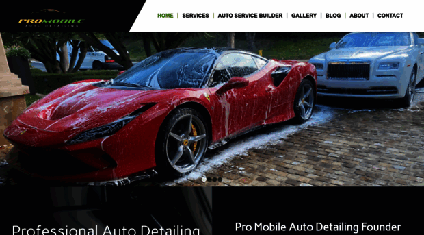 promobileautodetail.com