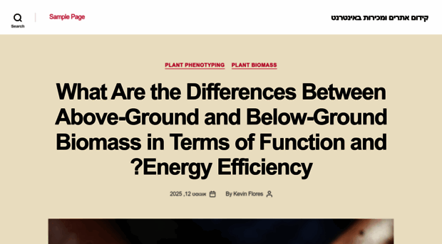 promocionwebperu.com