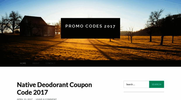 promocodes42017.wordpress.com