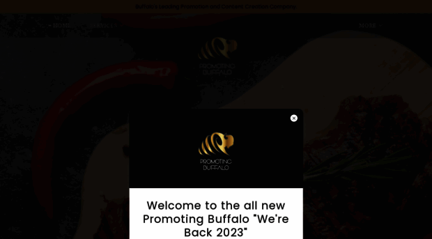 promotingbuffalo.com