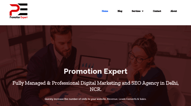 promotionexpert.in