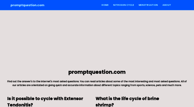 promptquestion.com