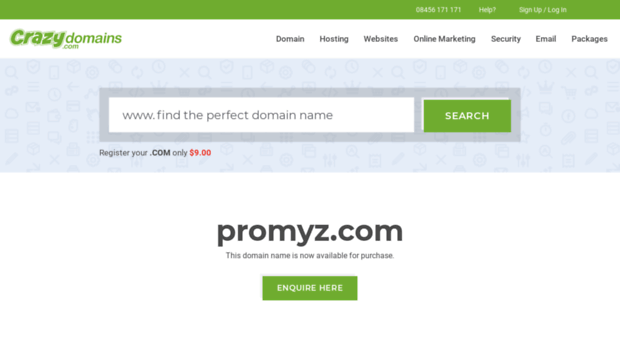 promyz.com