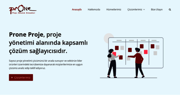 proneproje.com