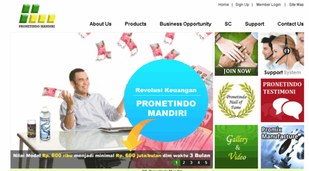 pronetindonesia.com