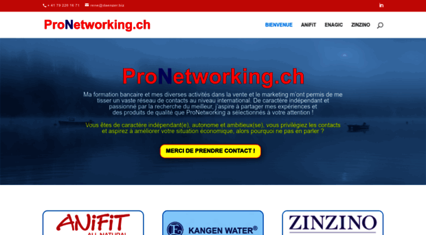 pronetworking.ch