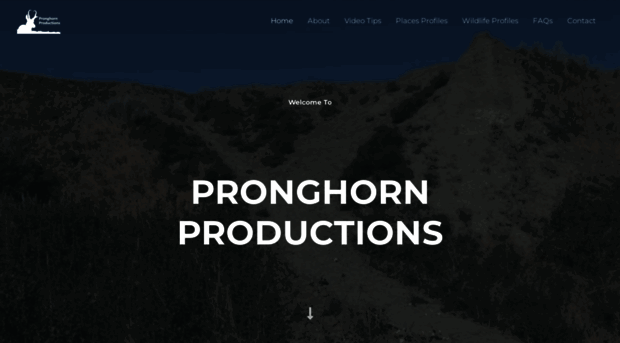 pronghornproductions.com