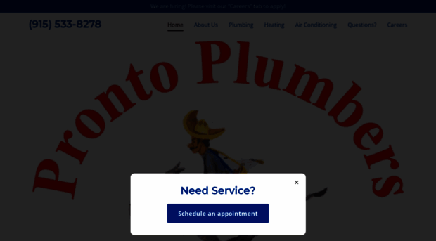 prontoplumbers.com