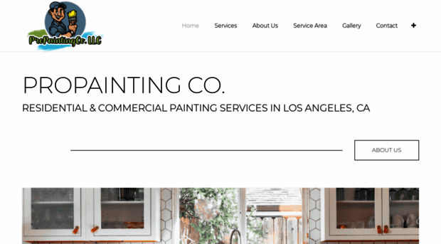 propaintingcollc.com