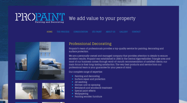 propaintpt.com