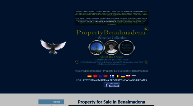 propertybenalmadena.com