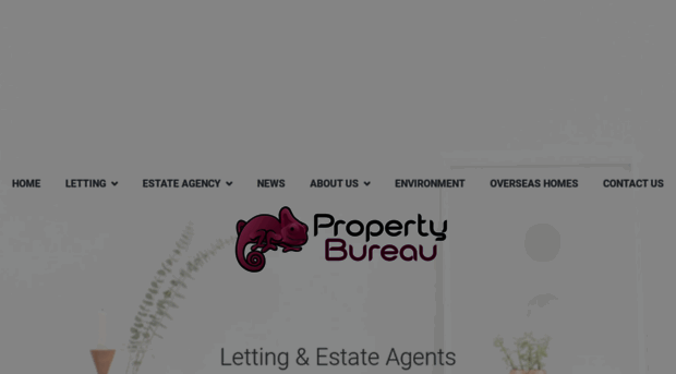 propertybureau.co.uk