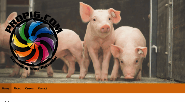 propig.com