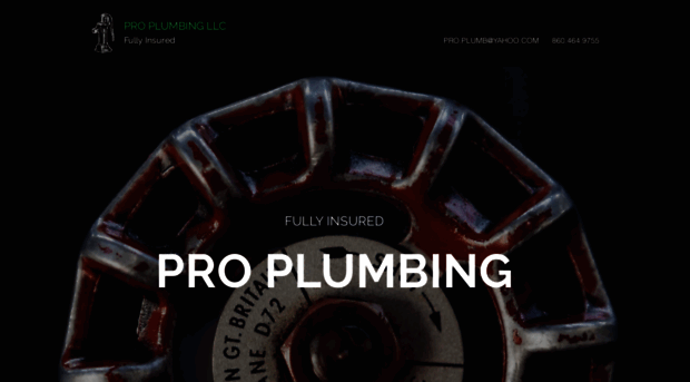 proplumbingct.com