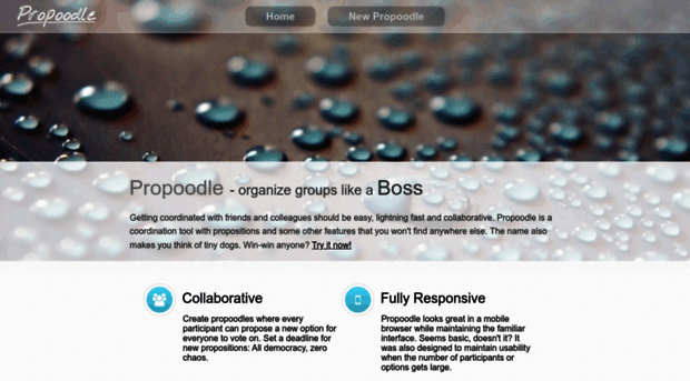 propoodle.net