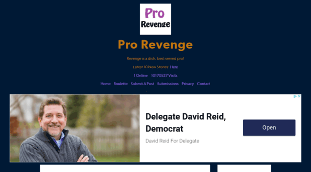 prorevenge.net