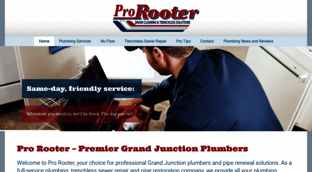 prorootercolorado.com