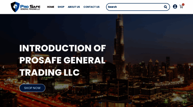 prosafegroup.ae