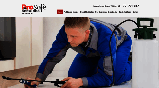 prosafeservicesnd.com