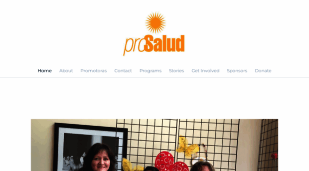 prosaludhouston.org