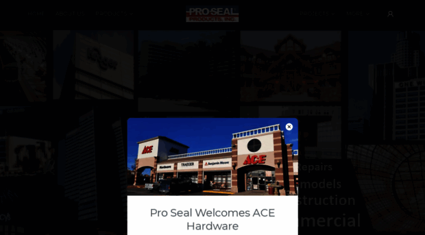 prosealproducts.com