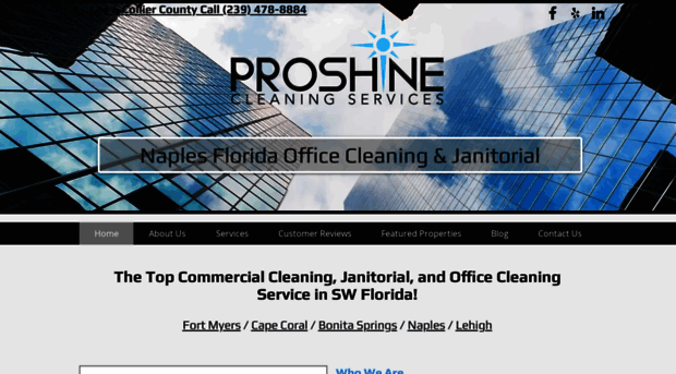 proshinecleaningservices.com