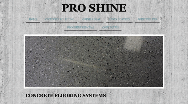proshineconcretepolishing.com
