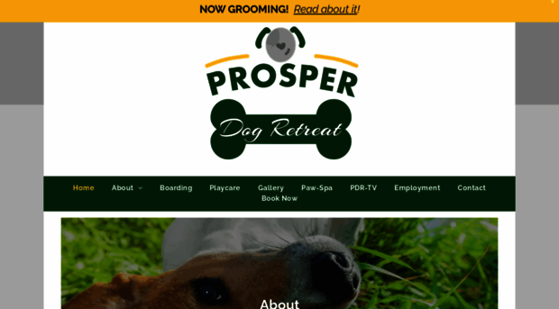 prosperdogretreat.com