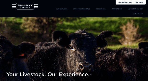 prostocklivestock.com.au