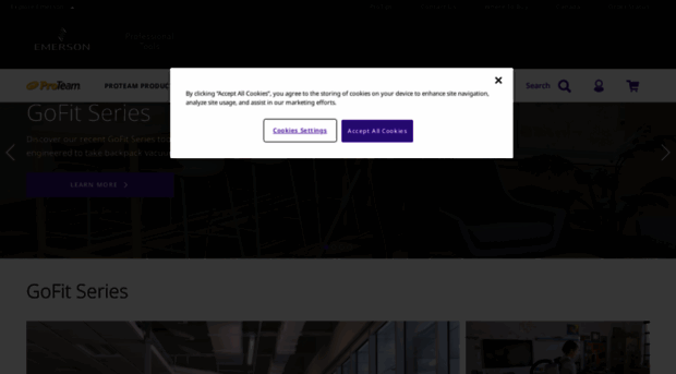 proteam.emerson.com