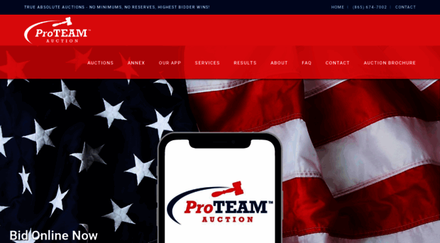 proteamauction.com