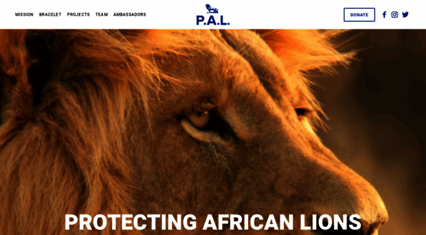 protectingafricanlions.org