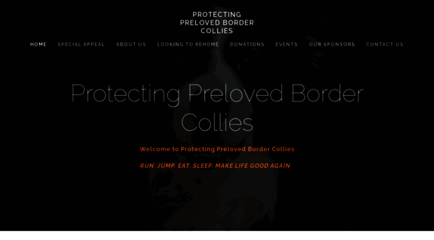 protectingprelovedbordercollies.org.uk