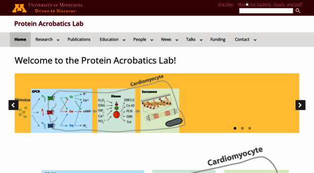 proteinacrobaticslab.umn.edu