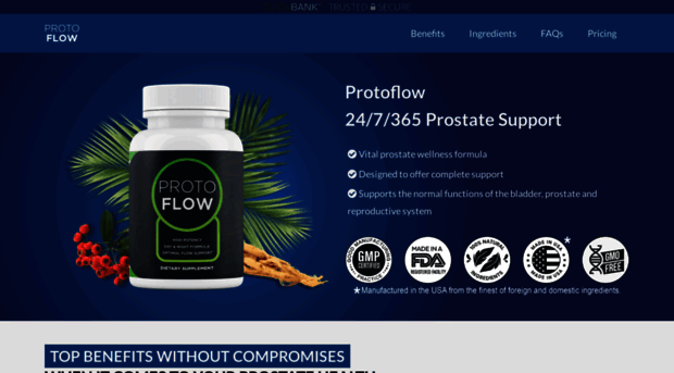 protoflow.net
