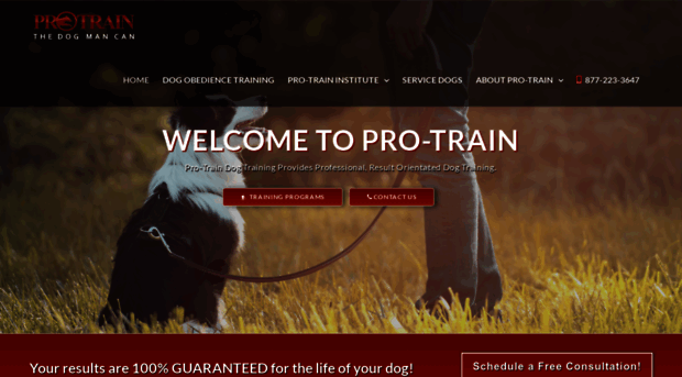 protraindog.com