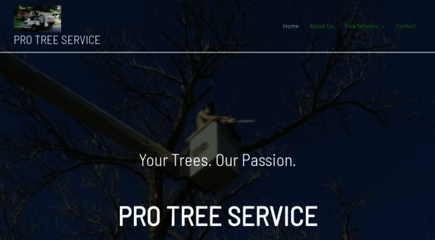 protreesd.com