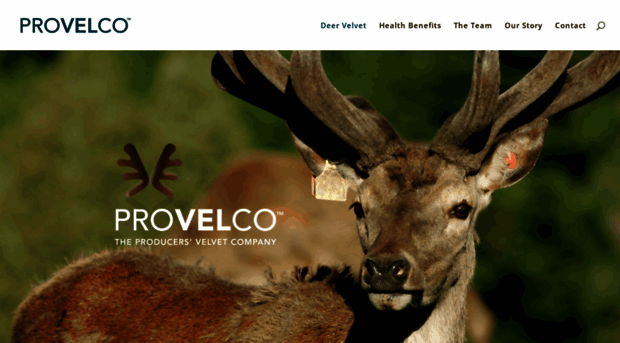 provelco.co.nz