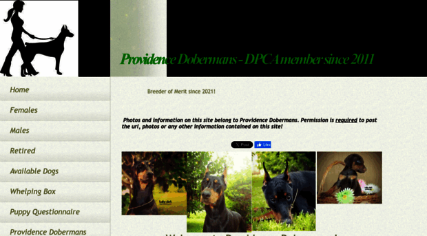 providencedobermans.com