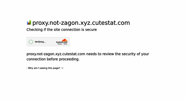 proxy.not-zagon.xyz.cutestat.com