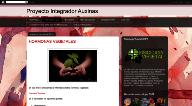 proyectointegradorauxinas.blogspot.com