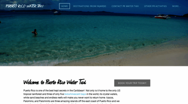 prwatertaxi.com