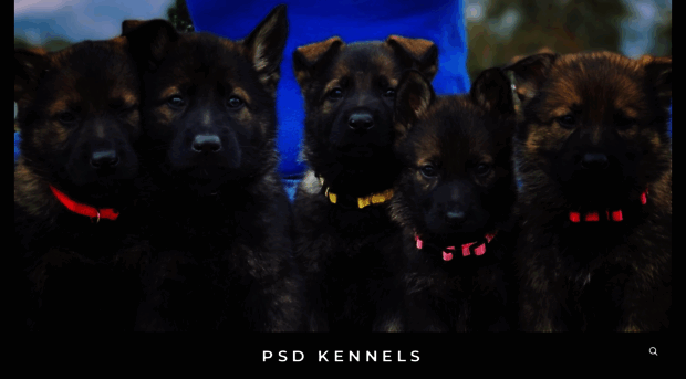 psdkennels.com