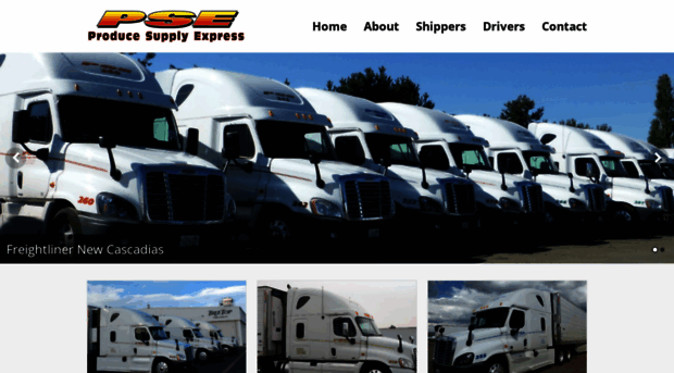 psetrucking.com