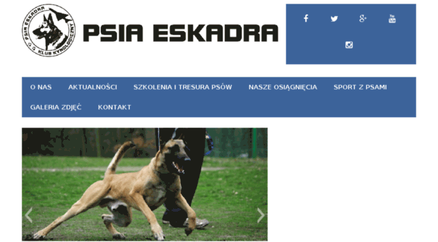psiaeskadra.pl